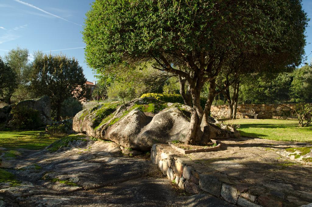 B&B Li Conchi Arzachena Exterior photo